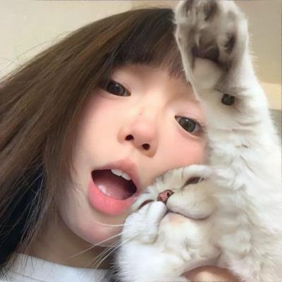 乌冬面之国的金色毛球